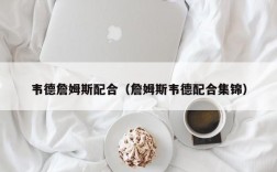 韦德詹姆斯配合（詹姆斯韦德配合集锦）