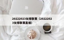 20222023女排联赛（20222023女排联赛直播）