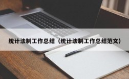 统计法制工作总结（统计法制工作总结范文）