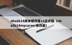 nba2k14简单修改器10正式版（nba2k14mycareer修改器）