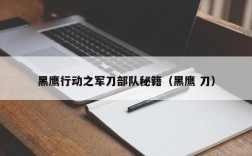 黑鹰行动之军刀部队秘籍（黑鹰 刀）