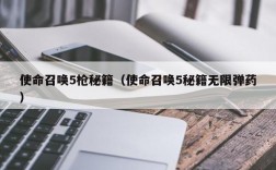 使命召唤5枪秘籍（使命召唤5秘籍无限弹药）