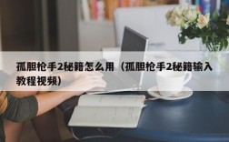 孤胆枪手2秘籍怎么用（孤胆枪手2秘籍输入教程视频）